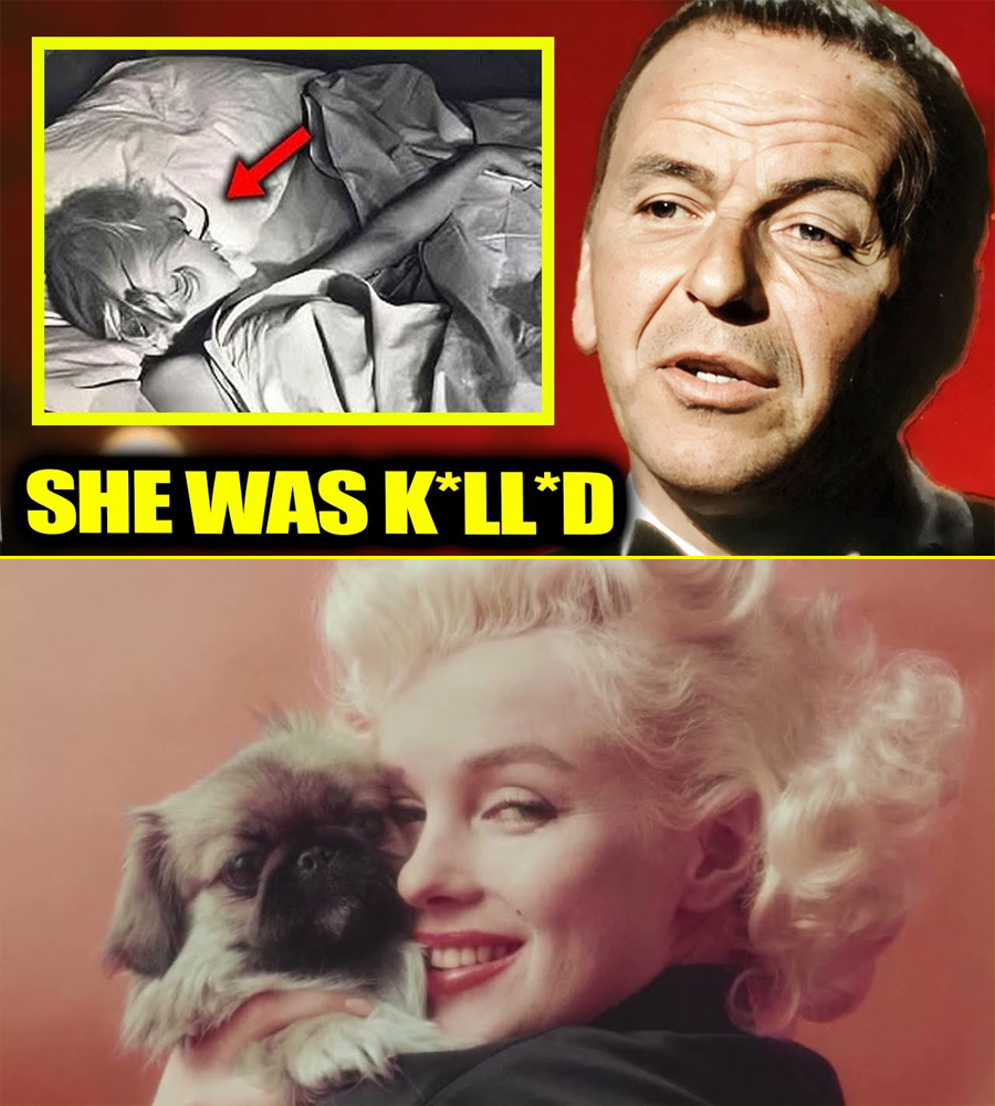 After All These Years, Sinatra’s Reflections Cast New Light on Marilyn Monroe’s Final Night