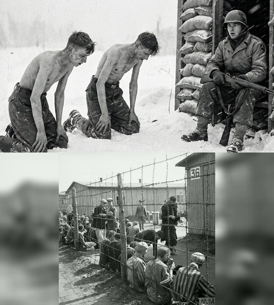 They Dropped Their Rifles and Begged to Live—But One U.S. Sergeant’s ‘Illegal’ Choice That Night Put Him on Trial by His Own Side