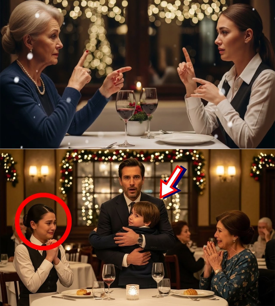 She Signed “Merry Christmas” Without a Sound—And the Billionaire’s Mother Realized the Waitress Was the Woman Her Son Had Never Stopped Searching For