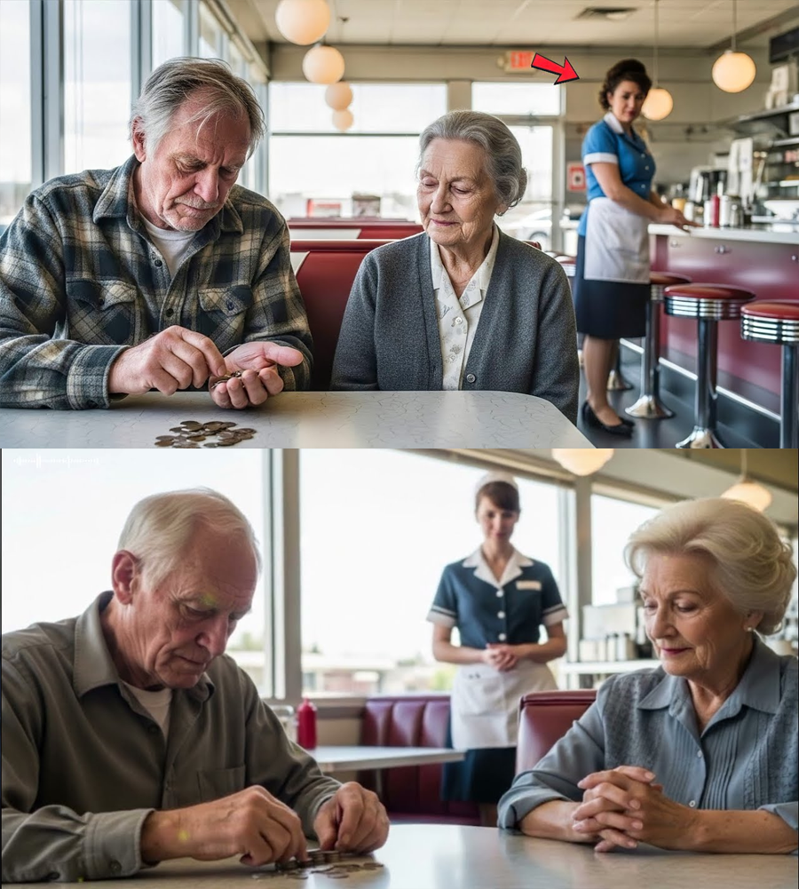 She Quietly Fed a Shivering Elderly Couple on Christmas Eve