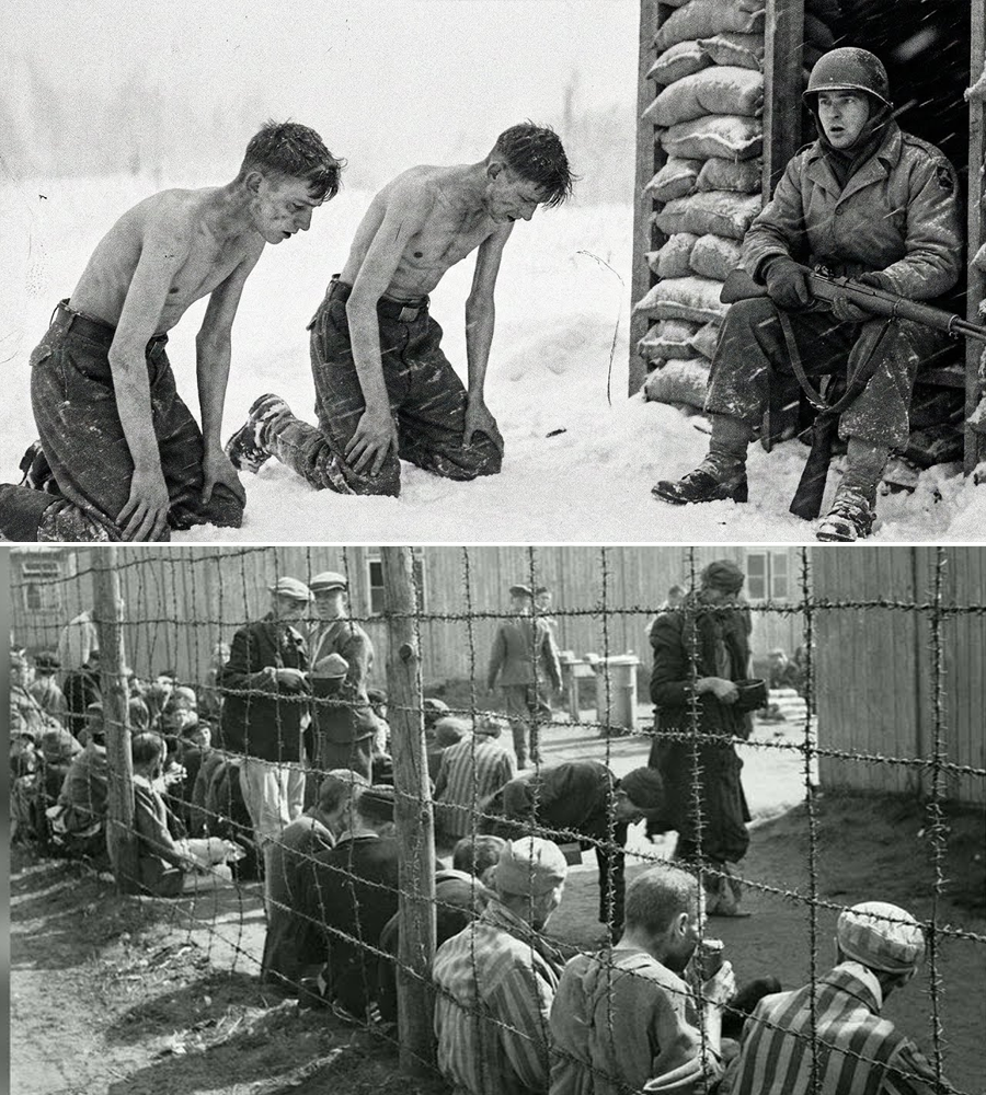 German Boys Dropped to Their Knees in the Snow—Then a U.S. Sergeant Made One Unthinkable Choice That Defied Orders, Shocked His Men, and Changed Every Life There