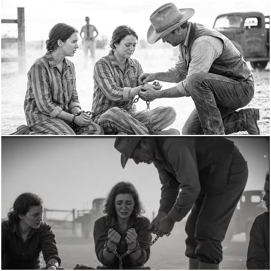 “You’re Not Animals,” Said the Texas Cowboys as They Removed the Chains from German Women POWs, Revealing an Unexpected Act of Mercy, a Cultural Collision No One Expected, and a Moment of Humanity That Changed Lives Forever During War