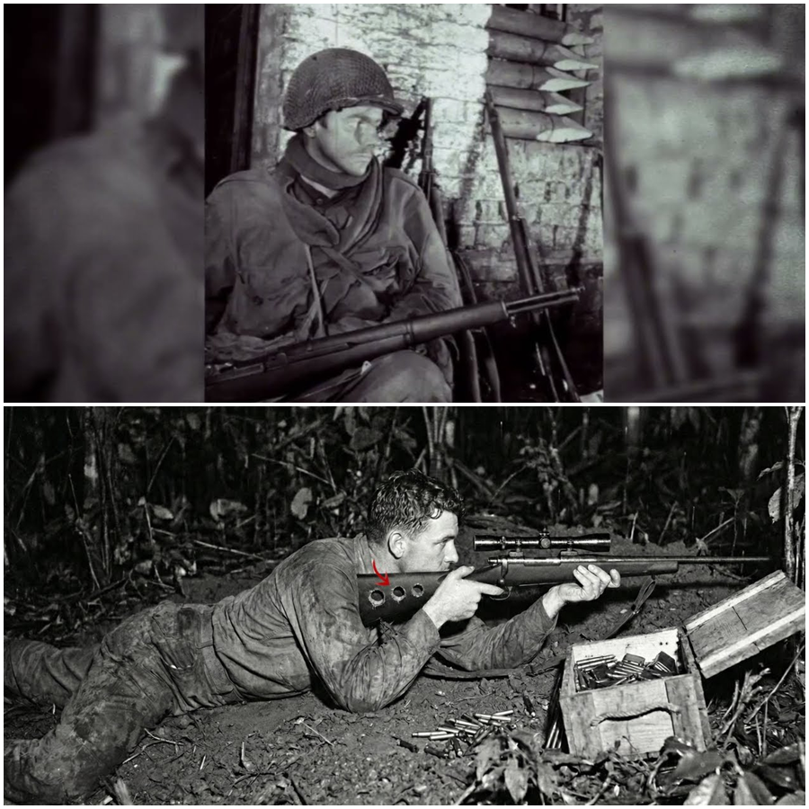 Guadal Canal 11 Japanese snipers killed in 4 days with 12 shots.