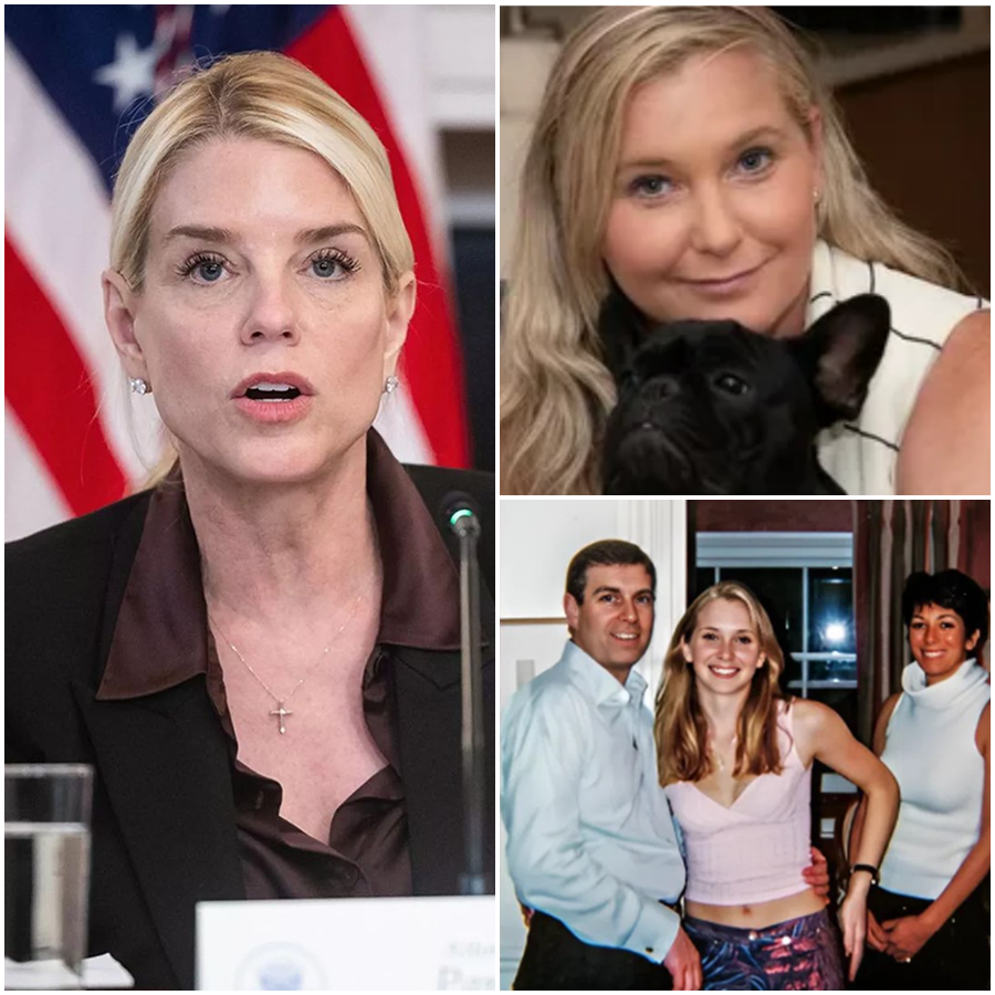 THE $12 MILLION VENDETTA: Why One Family Just Traded a Life-Changing Fortune for a High-Stakes Legal War