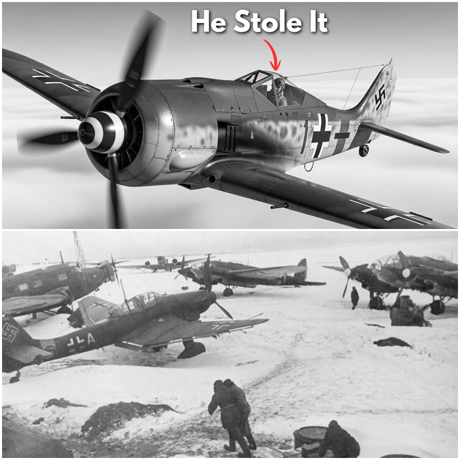 The Mustang’s Last Scream: The Impossible Survival of Lieutenant Bruce Carr and the Secret Mission That Ended Behind Enemy Lines