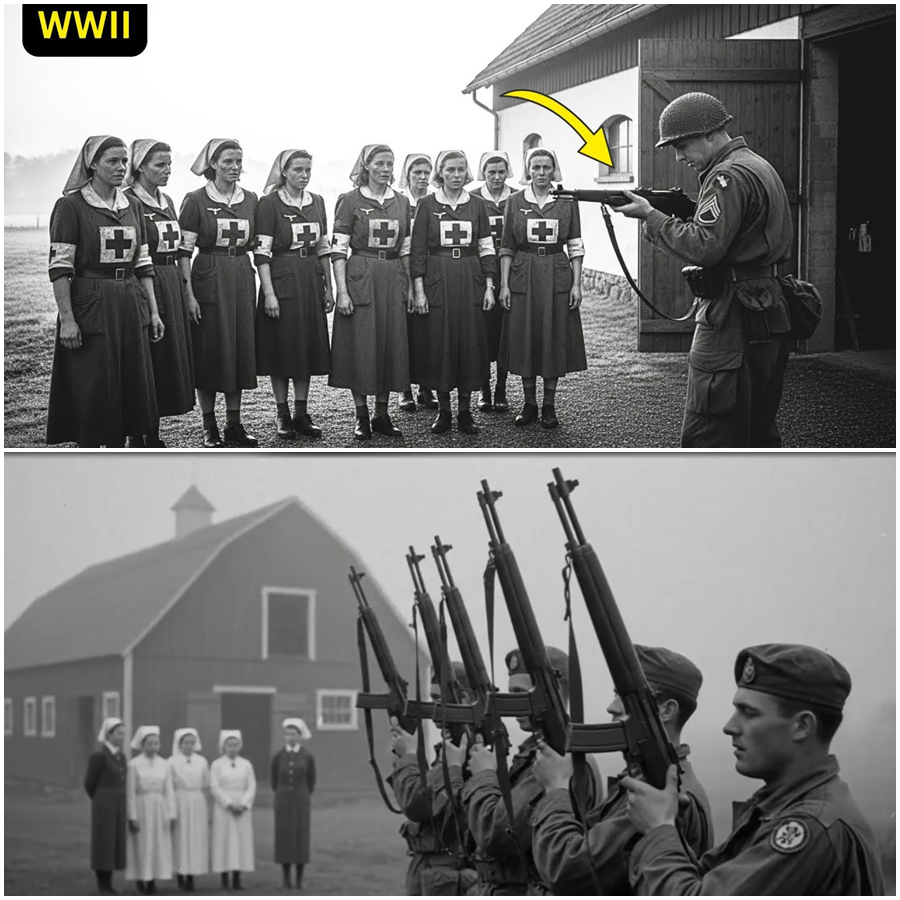 End the Endless Pain They Whispered as Nurses Sought an Unthinkable Exit While American Soldiers Chose to Give Life A Hidden Transatlantic Story of Mercy Fear Duty and Secrets That Collided in Hospitals and Battlefields Leaving Questions That Refuse to Sleep Across Nations Generations Files Silence Oaths Lights Shadows Time Fate Choices Promises Broken Hope Measured Breaths Night Alarms Letters Locked Doors Unanswered Truths Waiting for Dawn Again