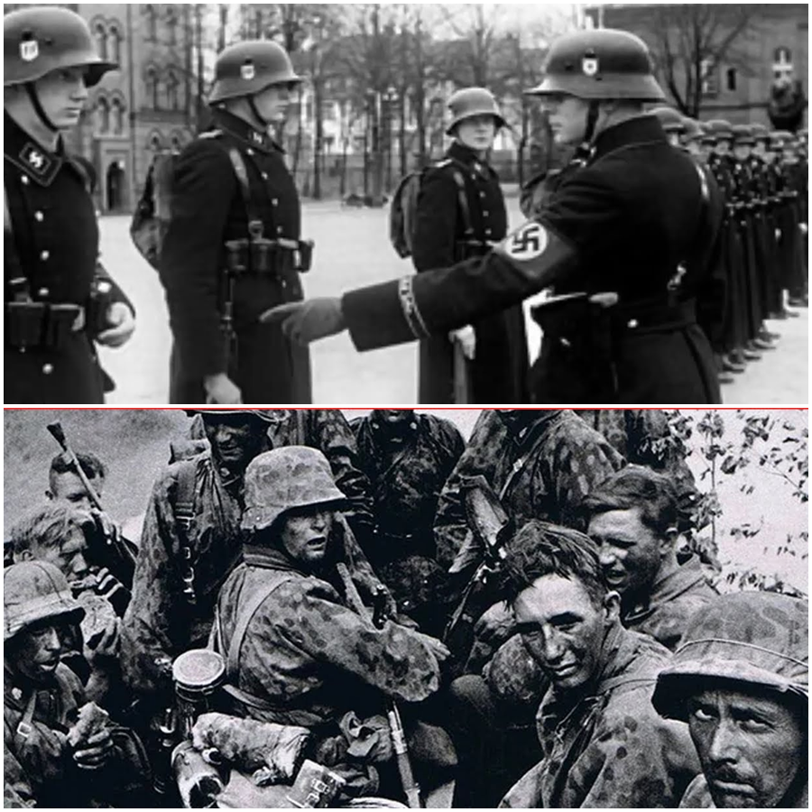 The Devil’s Division Exposed: Inside the Frozen Inferno Where Relentless Soviet Forces Encircled, Broke, and Silenced Hitler’s Most Fanatical Elite, Unraveling a Dark Wartime Myth Through Snow, Ruins, and Ruthless Endurance in a Clash That Rewrote Fear, Loyalty, and the True Price of Obedience Forever