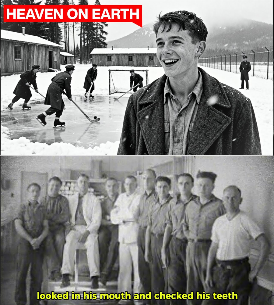 “They Called It Heaven—Until One Night in the Canadian Pines Turned the Camp Into a Battlefield”