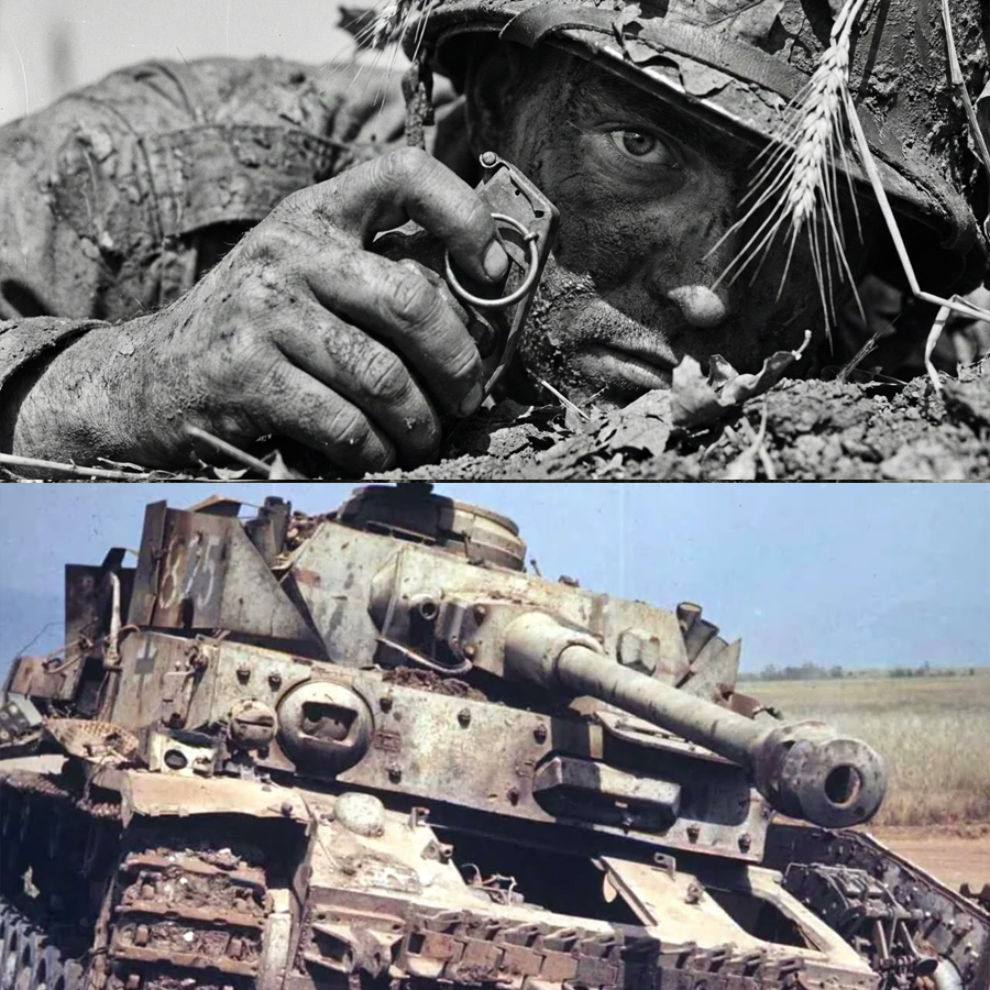 “Thirty Minutes in the Dirt: The ‘Crawl Trick’ That Turned Four MG-42s to Silence—And Saved a Platoon”