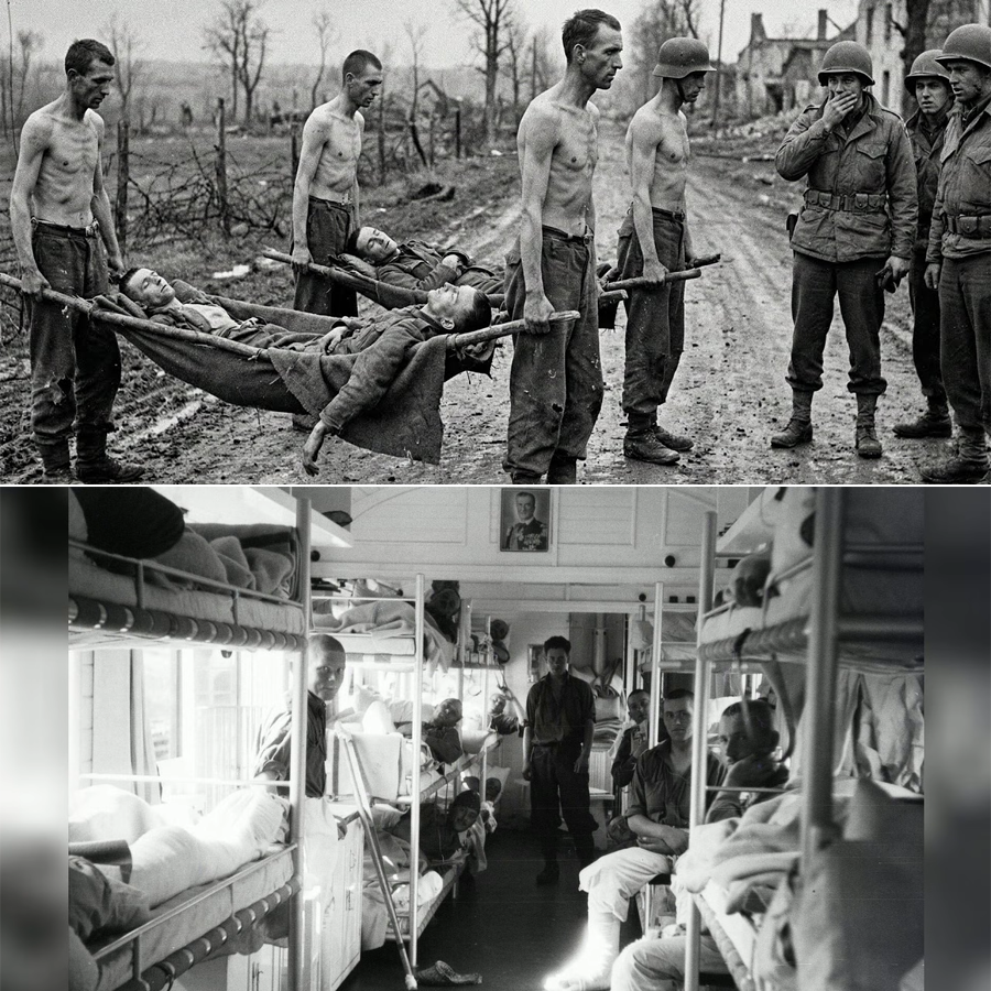 They Were Starving, Shaking, and Untrained