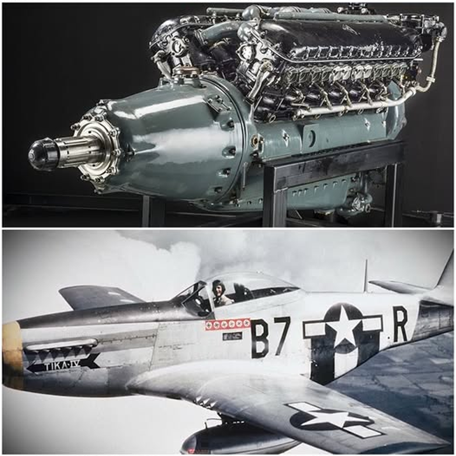 How the P-38 Lightning’s Twin-Engine Fury and High-Altitude Dominance Rewrote the Rules of the Pacific Air War