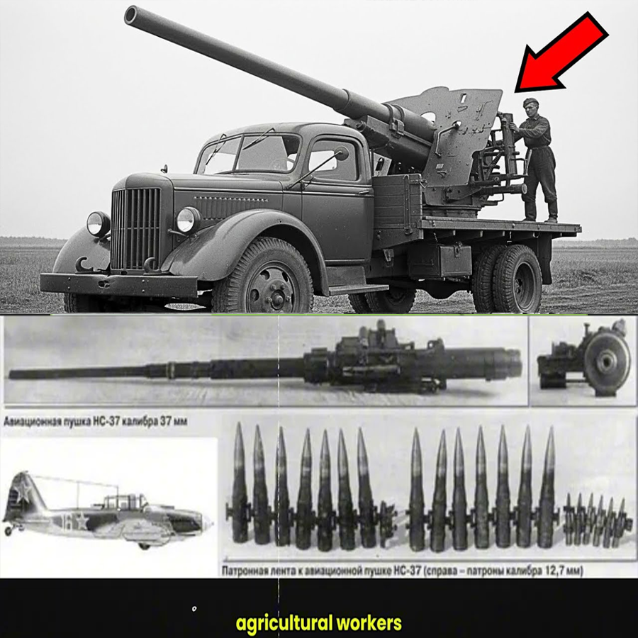 They Thought It Was Just a Rusty Farm Truck—Until