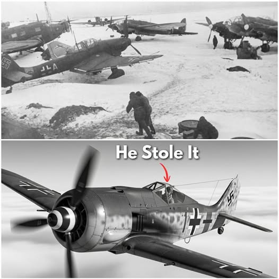 The Impossible Survival of Lieutenant Bruce Carr and the Secret Mission That Ended Behind Enemy Lines