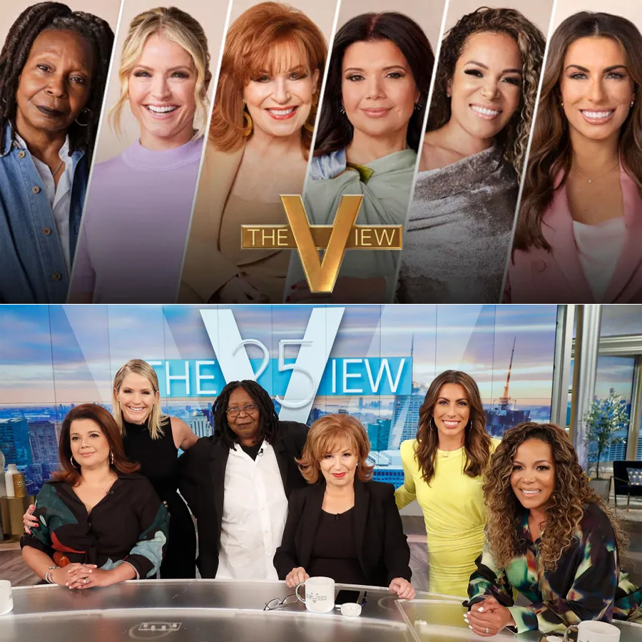 The Fall of a Titan: Analyzing the Unprecedented Ratings Collapse of The View and the Uncertain Future of Daytime’s Most Controversial Panel