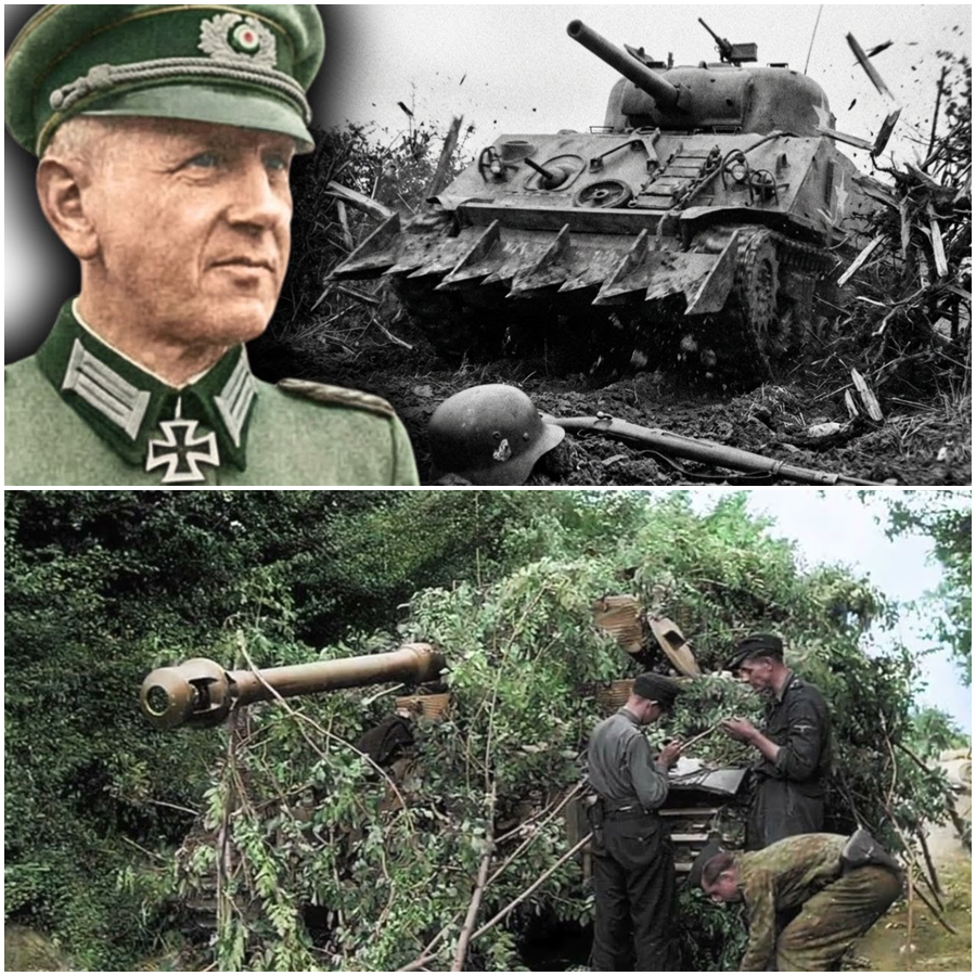 A German General Watched His “Perfect” Normandy Defenses Collapse as 500 Rhino Tanks Smashed Through the Hedgerows, Turning Natural Fortresses Into Open Highways, Shattering Long-Held Assumptions, Exposing a Fatal Blind Spot in German Planning, and Triggering a Chain Reaction of Shock, Confusion, and Irreversible Defeat That Quietly Redefined Ground Warfare in World War II