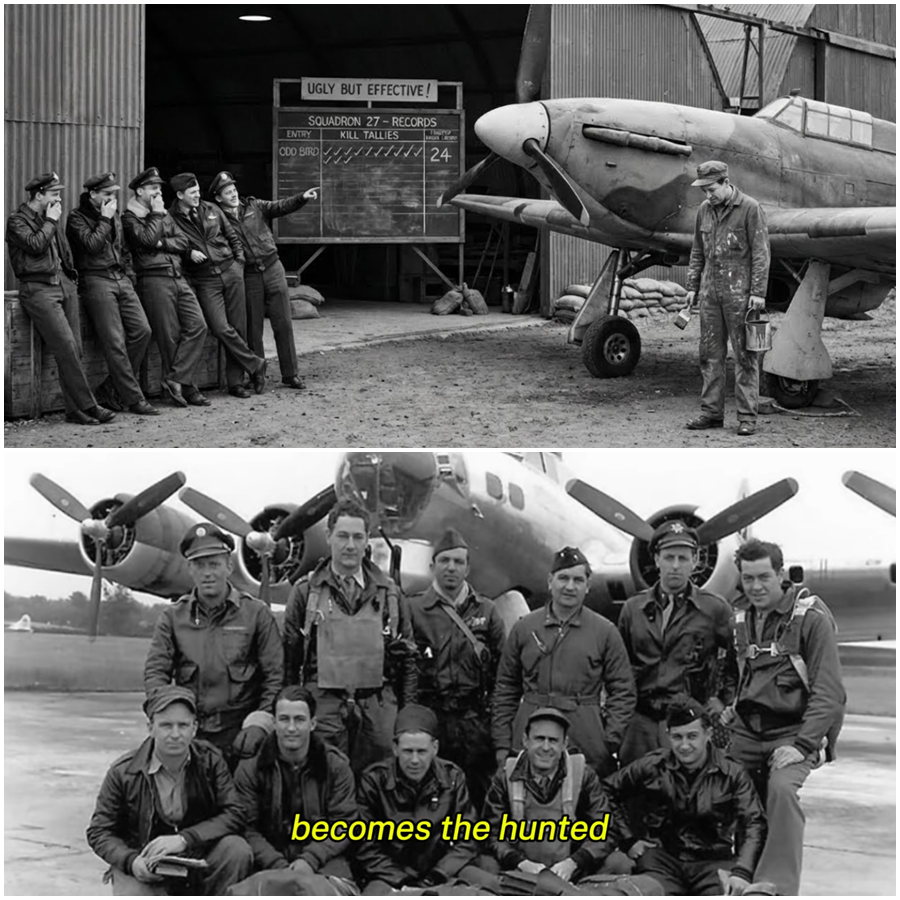 Squadron Mocked His “Ugly” Paint Job — Laughs on the Flight Line, Odd Colors Under Gray Skies, A Fighter That Looked Completely Wrong, Jokes Before Takeoff, Silence After Combat, Enemy Pilots Losing Sight Again and Again, Reports That Made No Sense, A Design No One Wanted, And a Strange Tactical Choice That Quietly Changed Air Combat Forever
