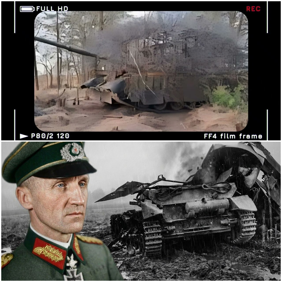 He had seen armies collapse. He knew the Vermacht was bleeding to death on two fronts.