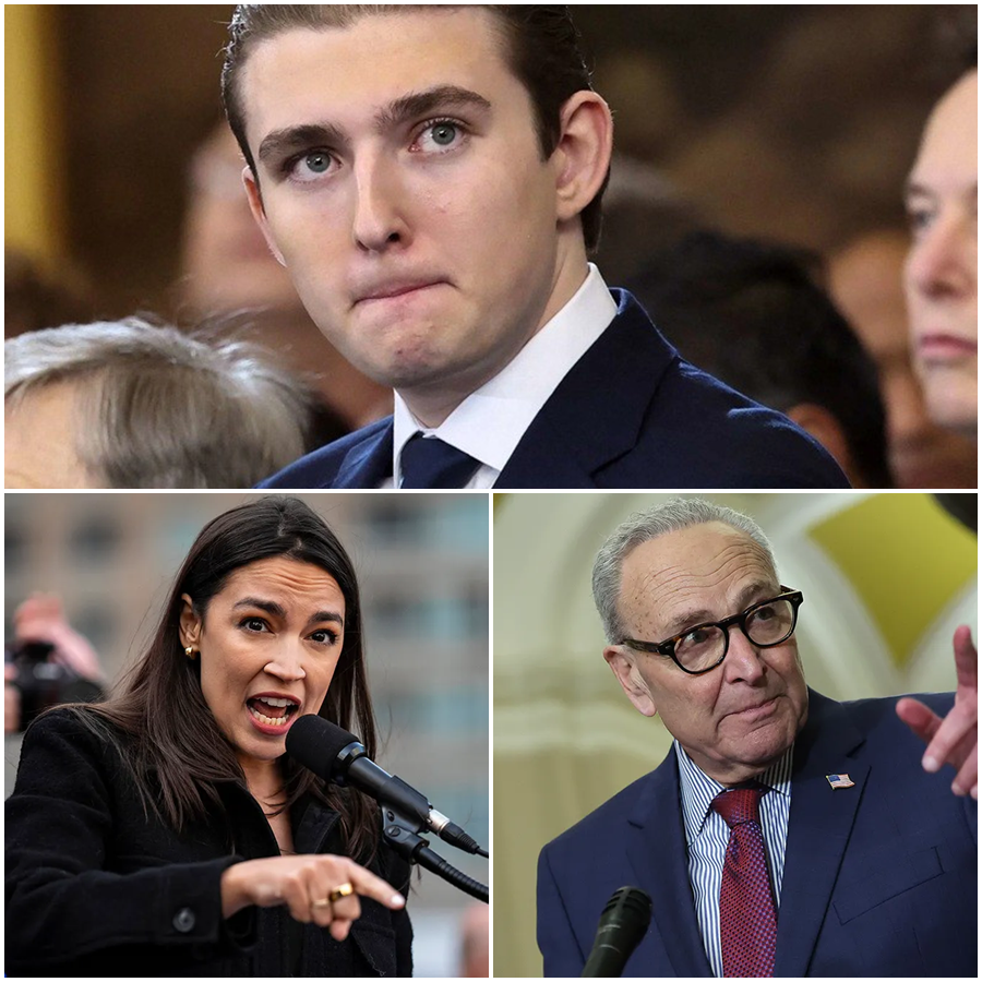 The Quiet Storm: Why Barron Trump’s Live-TV Dismantling of the Democratic Old Guard Just Redefined American Politics and Left Washington in Total Disbelief