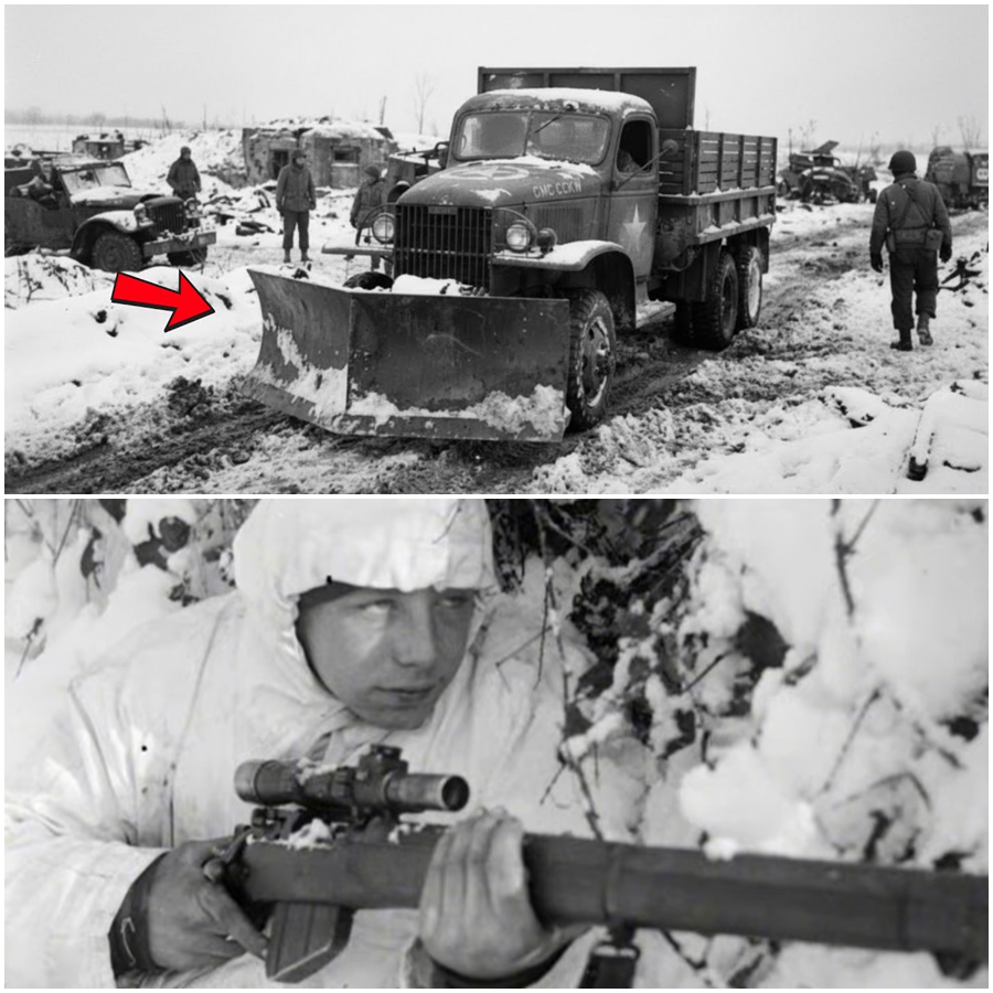 The Ghost of the Ardennes: How Two Soldiers Carved a Path Through a Frozen Hell to Save an Entire Regiment from Certain Destruction