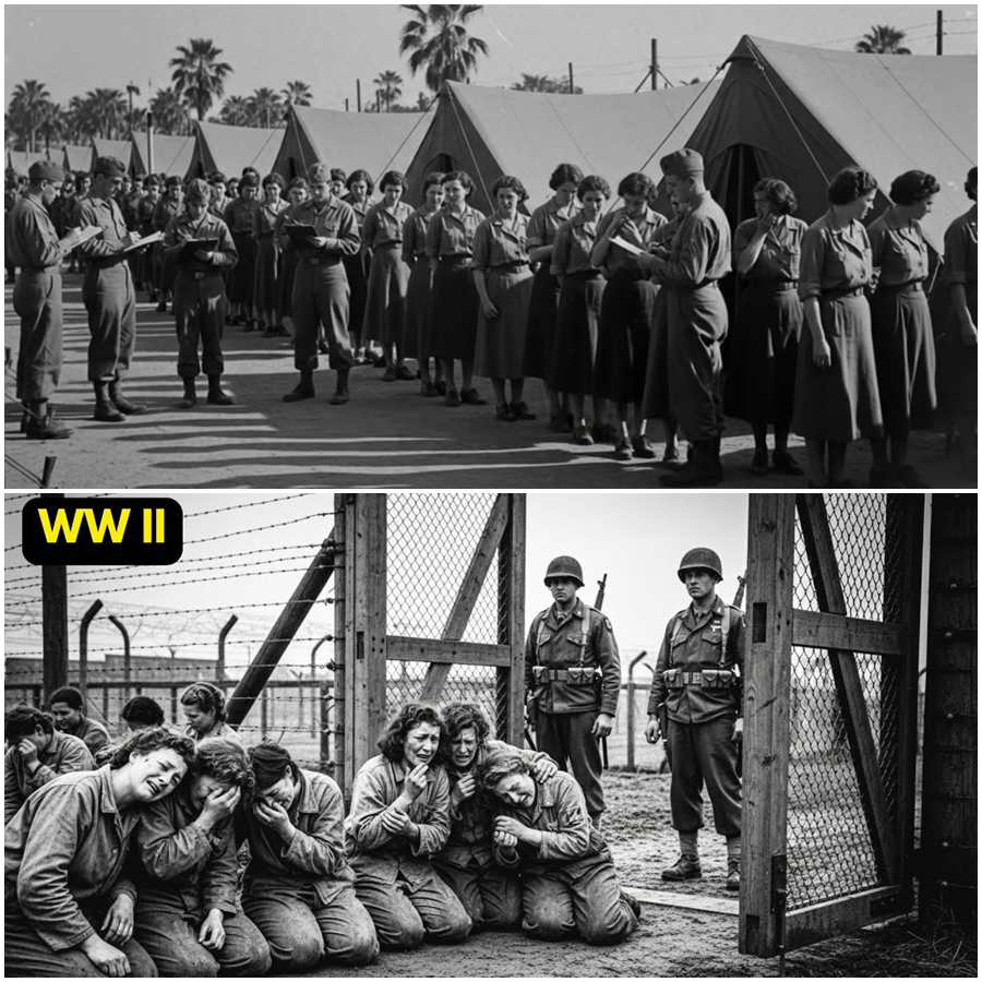 They Prepared Themselves For The Final Moment In Silence But What American Troops Did Next Was Unthinkable A Chilling Wartime Story Of Japanese Prisoners Expecting The End Until An Unexpected Act Of Mercy Fear And Human Choice Reversed Fate In A Place Where Hope Was Never Supposed To Return