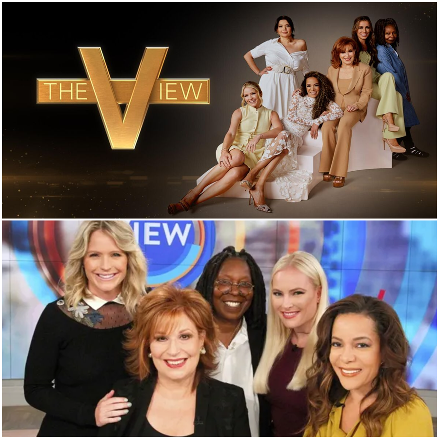 The Daytime Collapse: Inside the Unprecedented Ratings Crisis That Has “The View” Teetering on the Brink of Extinction