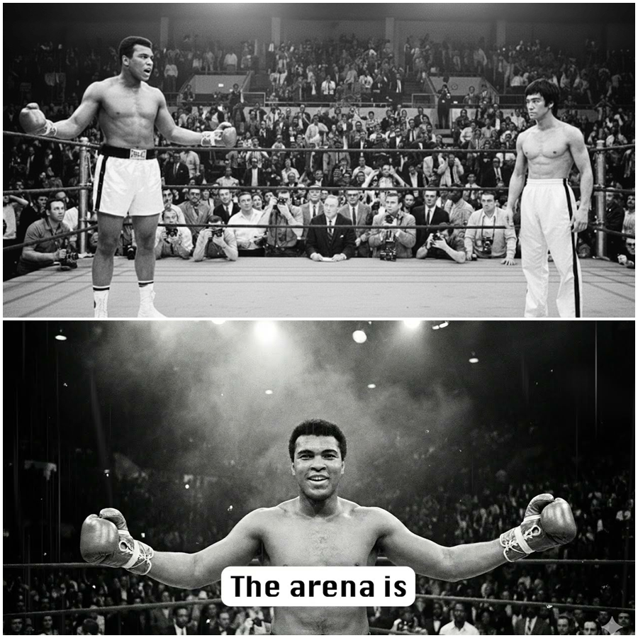 A challenge that should not exist. A challenge that will either become legend or be buried and forgotten.